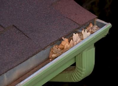 Gutter cleaning